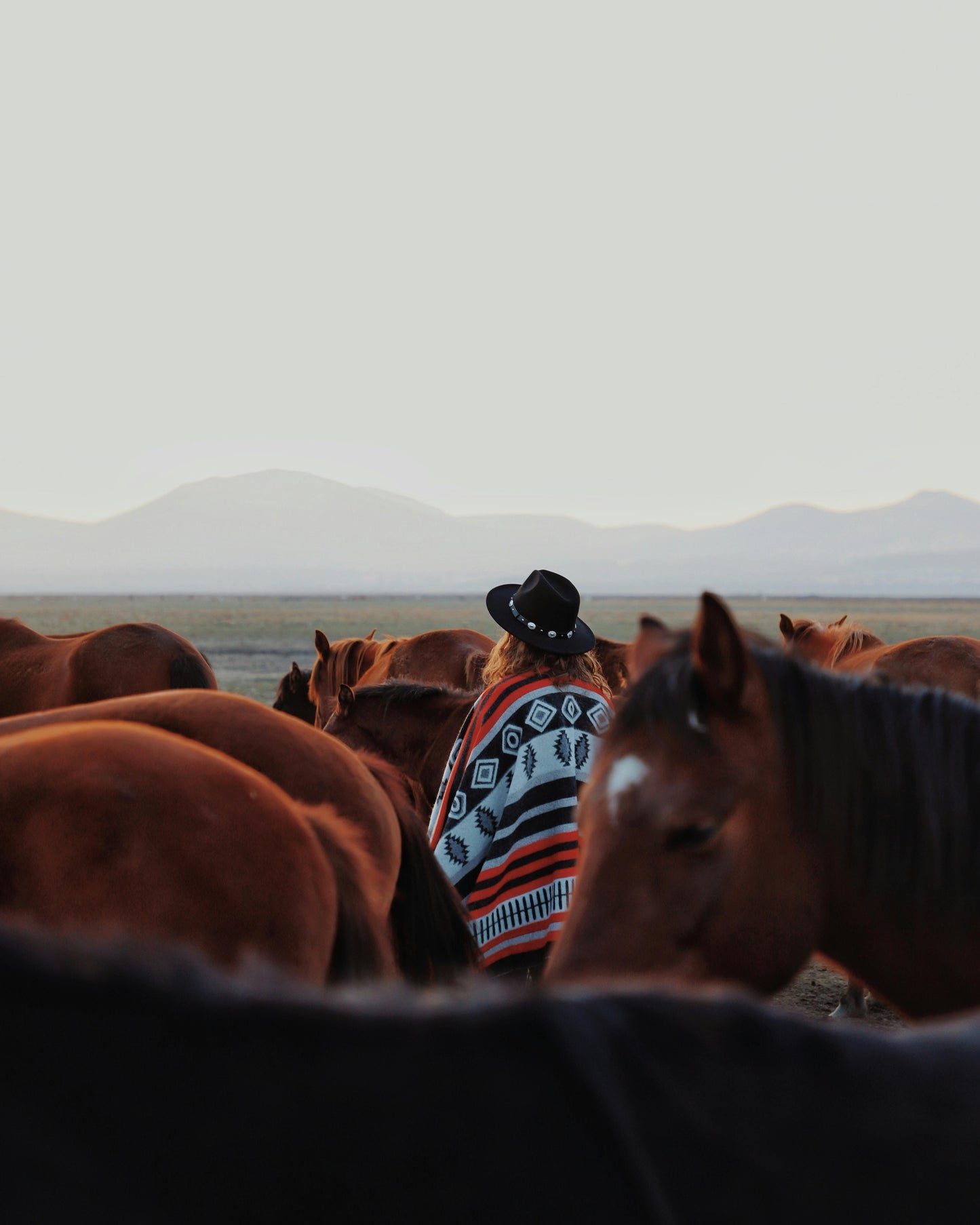 Tbilisi, Georgia: Full-Day Horse Riding Tour in Dighomi