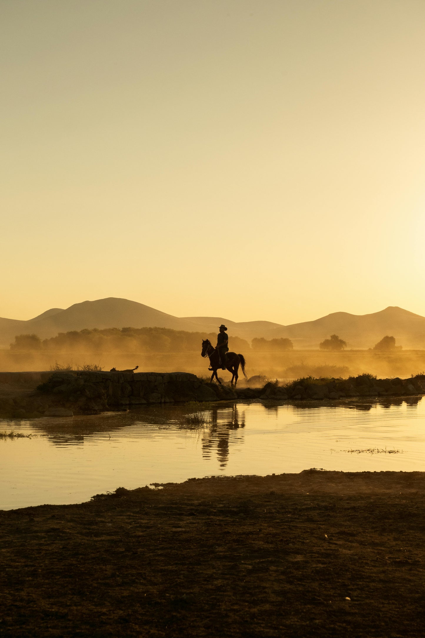 Elgin: Panoramic Horseback Ride Trail + Pick-up Available