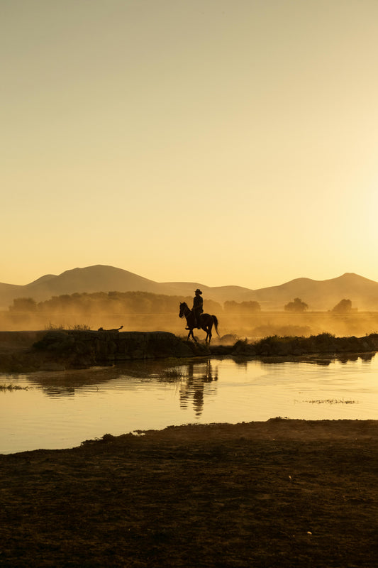 Elgin: Panoramic Horseback Ride Trail + Pick-up Available