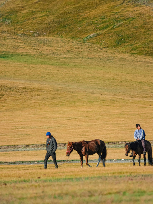 Gjirokaster, Albania: 1.5-Hour Horseback Journey Through Gjinofshat