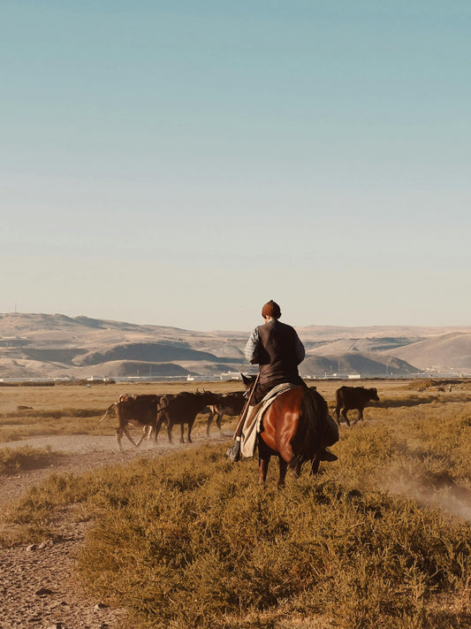 Utah, USA: 2-Hour Adventurous Horse Ride