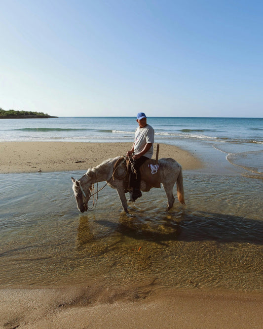 Rome: 4-Hour Exclusive Beach Horse Ride + Aperitif