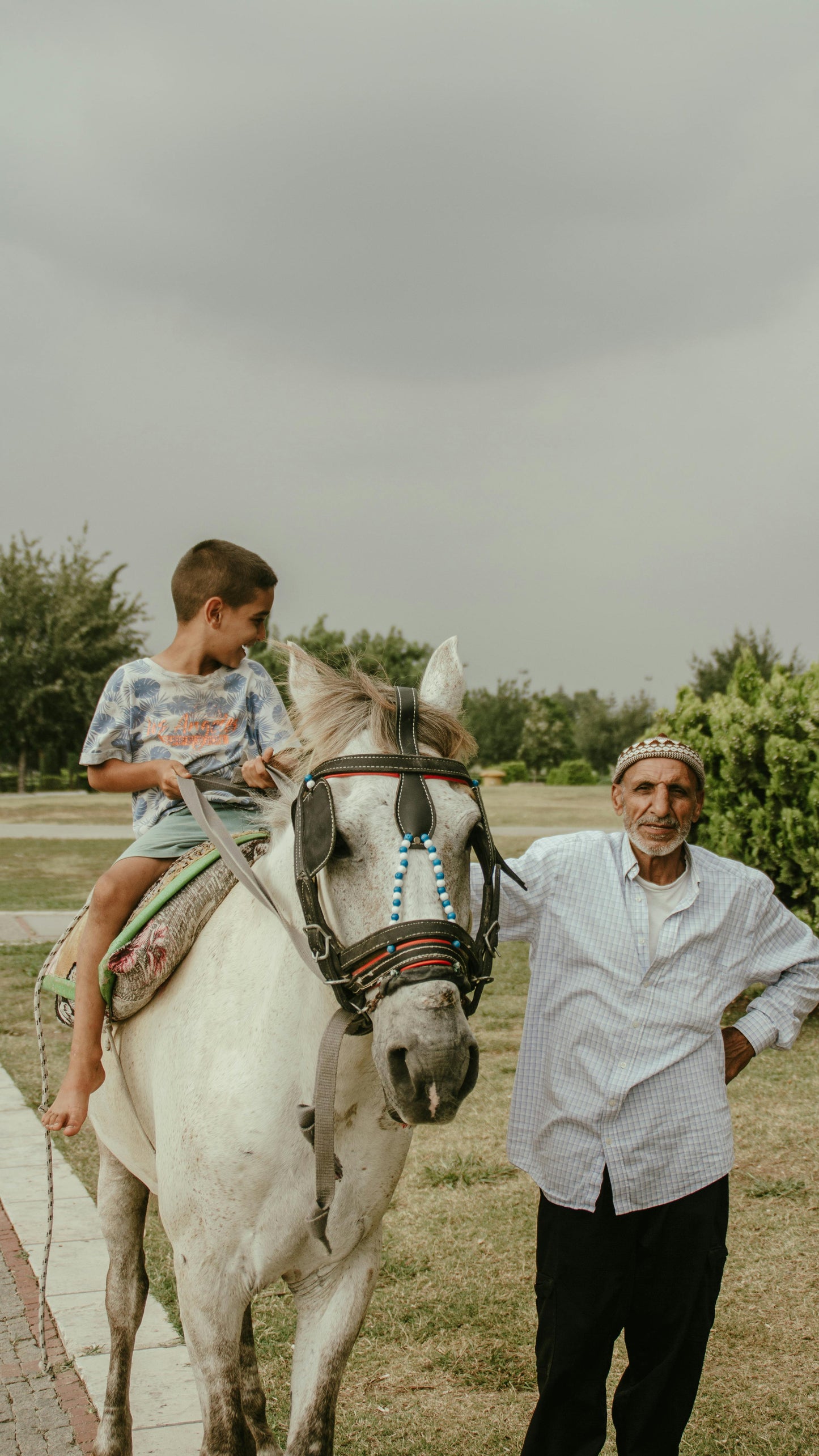 North Antrim: Private Skill Sharpening Riding Lessons + Pick-up Available