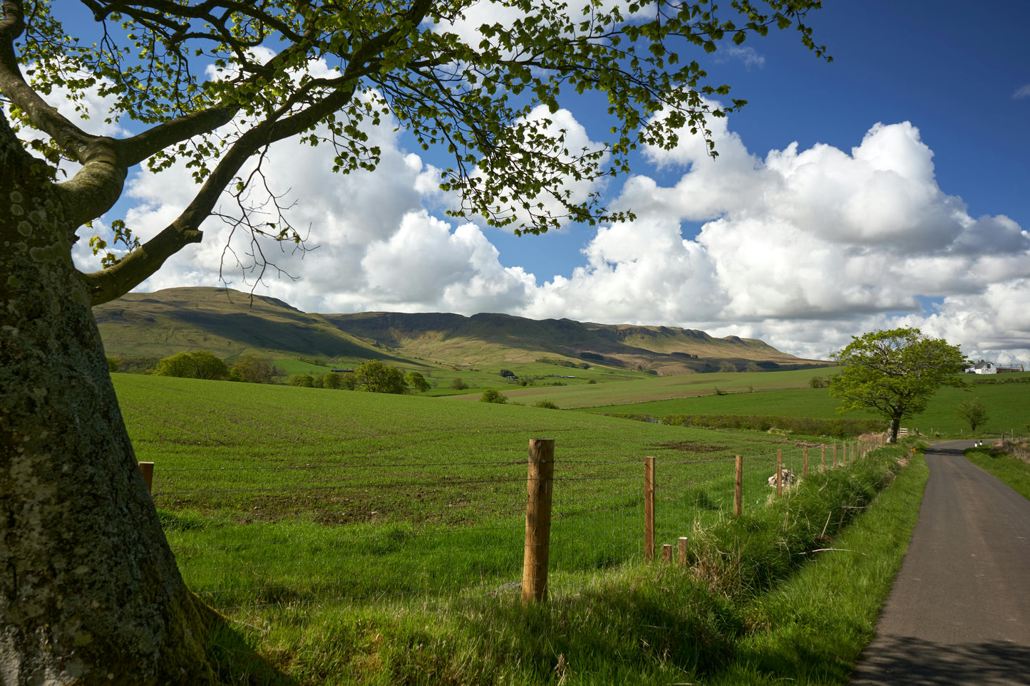 Fairlie, New Zealand: A Premium Backcountry Horse Trek