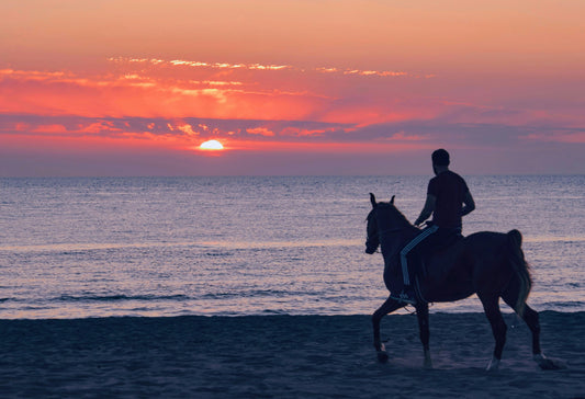 Guanacaste: Beach & Trail Horseback Ride + Hotel Pick-up
