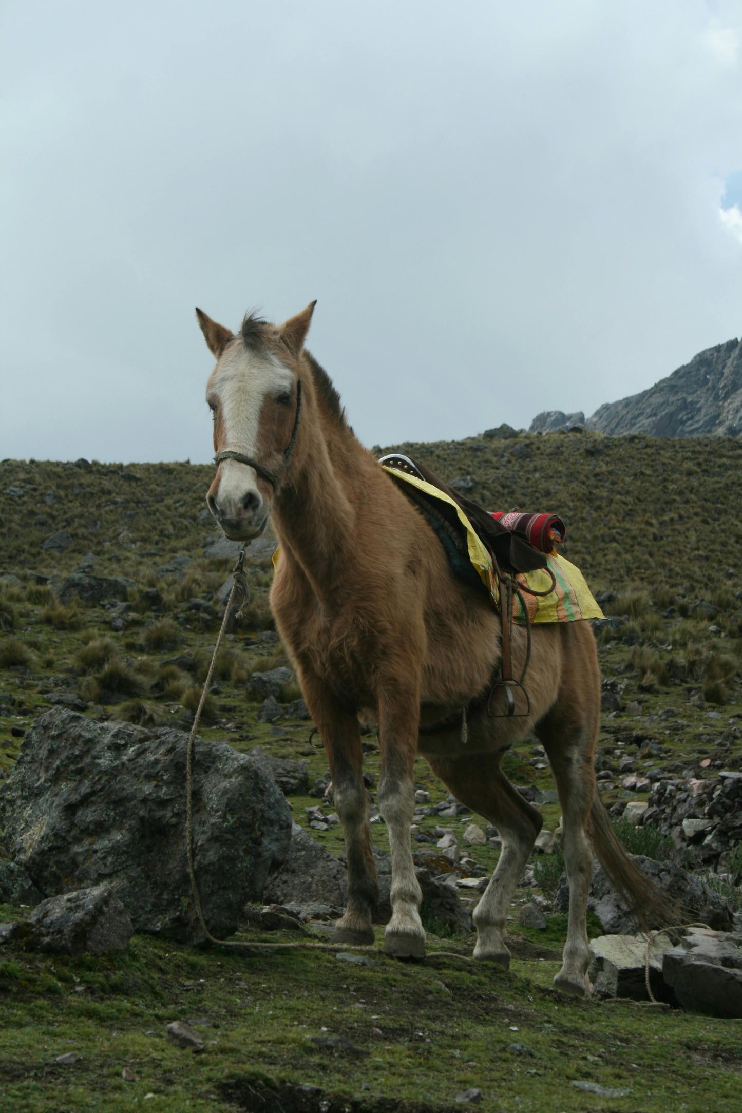 Sacred Valley: Full Day Sun Gate & Inka Quarry Ride + Lunch (Advanced Riders)