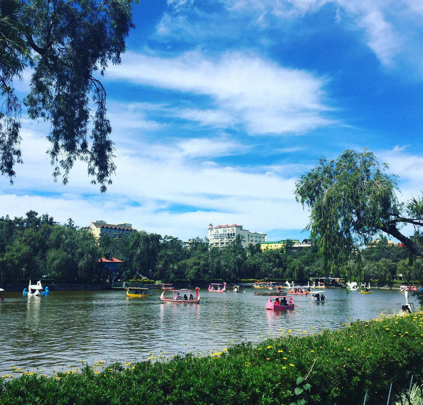 Baguio: Mountain Breeze Horse Ride Trails + Pick-up Available