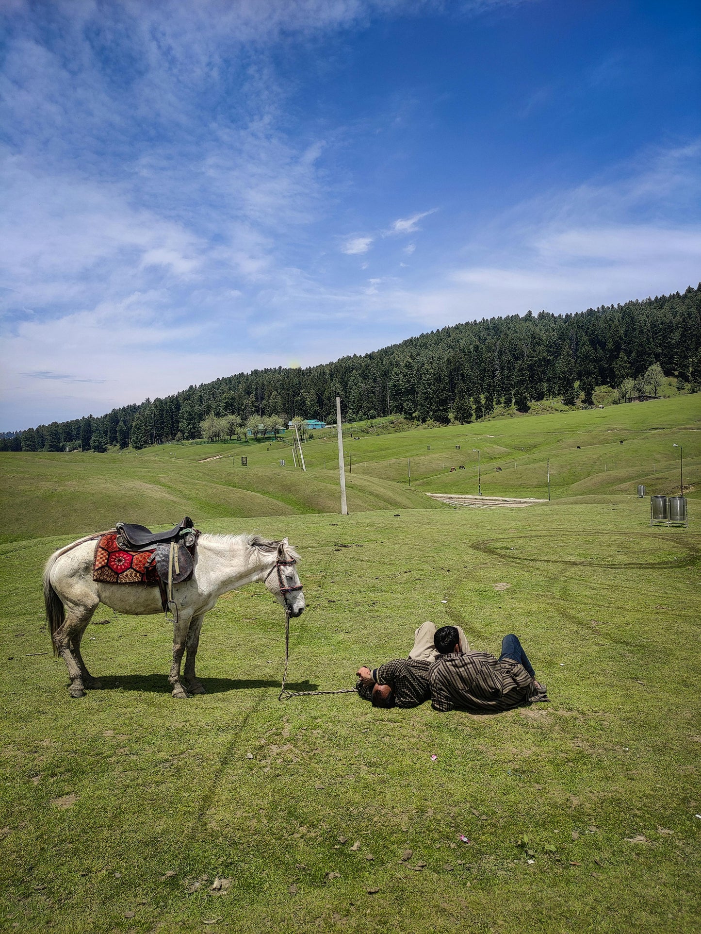 Gurgaon, India: 1.5-Hour Aravali Hills Horseback Adventure