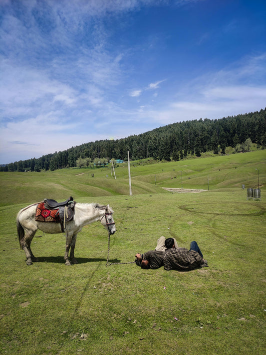 Gurgaon, India: 1.5-Hour Aravali Hills Horseback Adventure