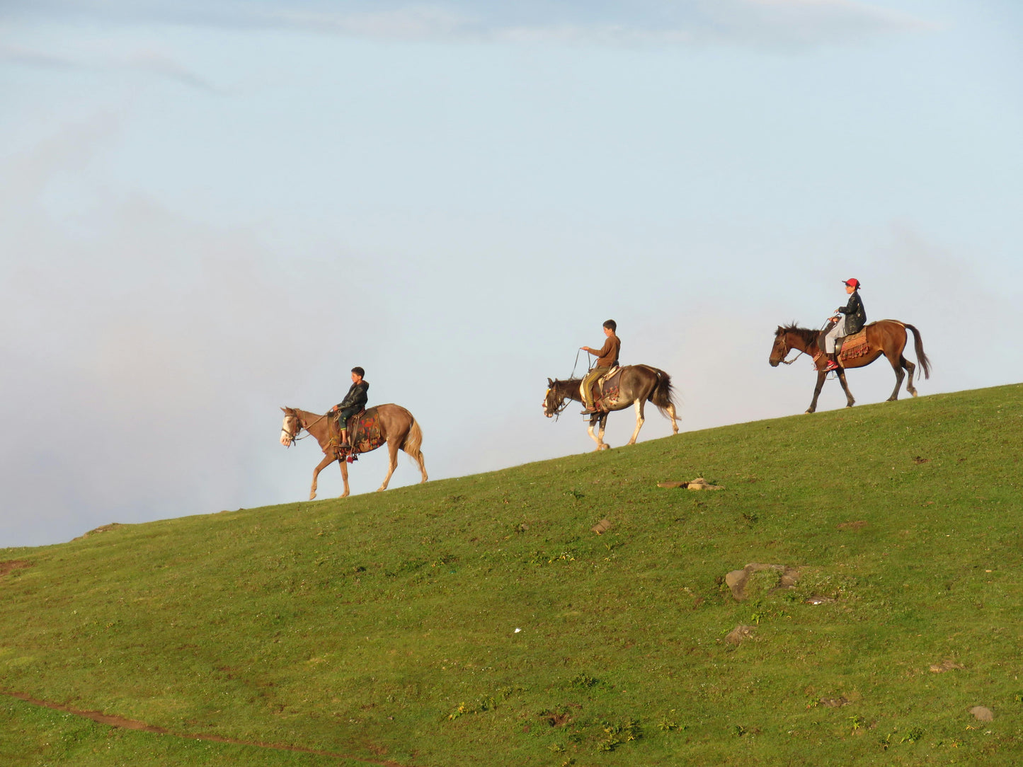 Tbilisi, Georgia: Half-Day Trialeti Ridge Horse Riding Tour