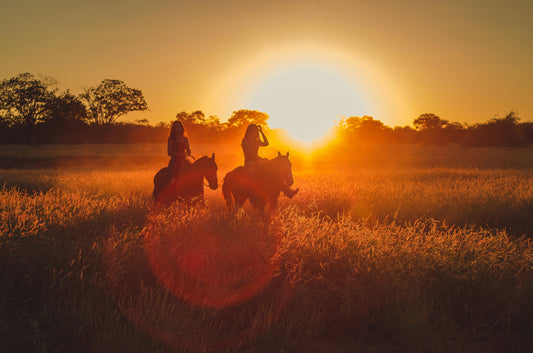 Tbilisi, Georgia: Half-Day Trialeti Ridge Horse Riding Tour