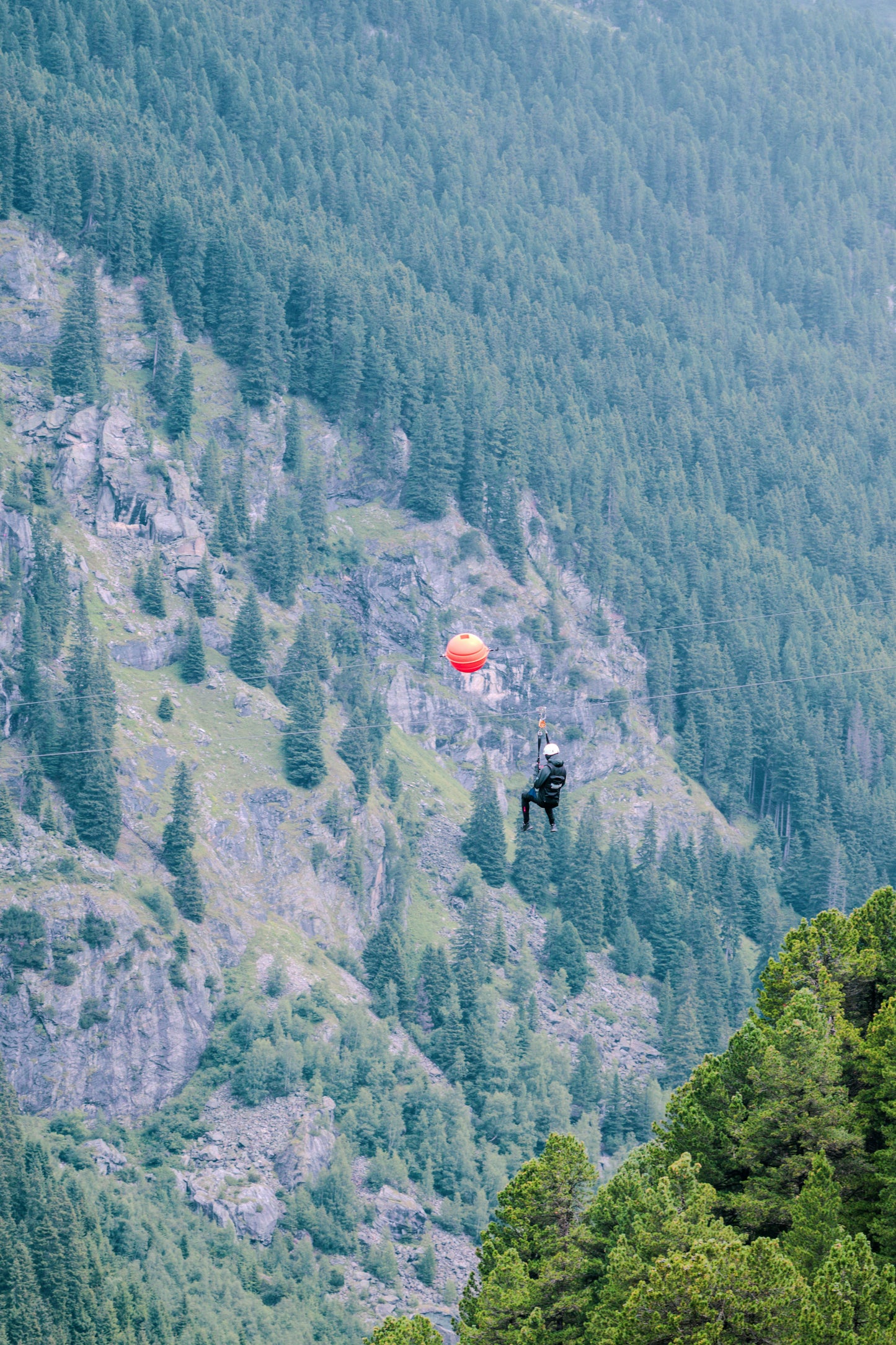 Michigan: Zipline Adventure Tour + Pick-up Available