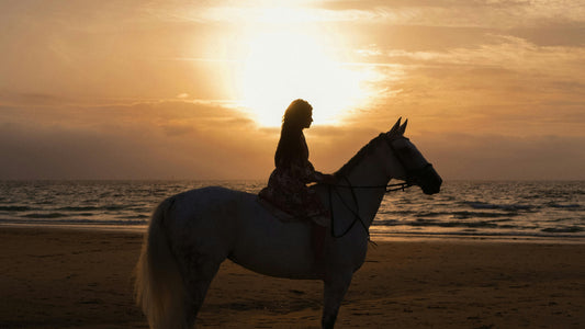 Essaouira, Morocco: Sunset Horseback Ride on the Beach