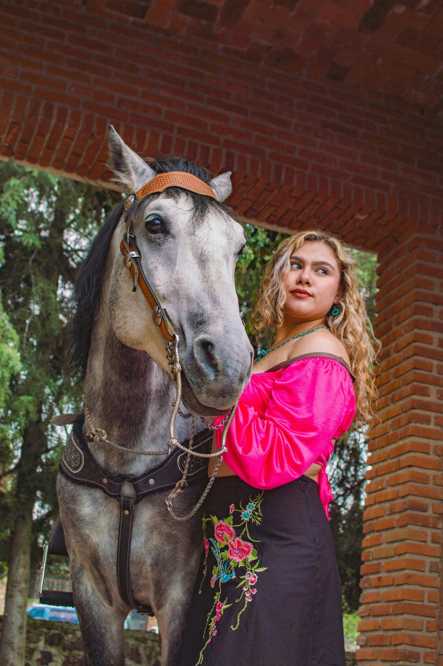 Mendoza: High Trails Horseback Rides + BBQ lunch + Pick-up & Drop-off