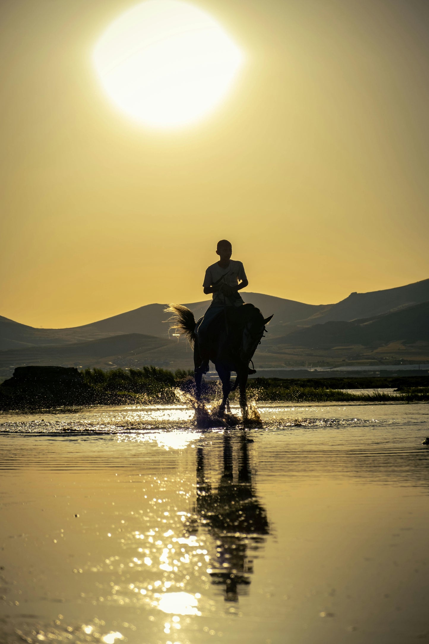 Zanzibar, Tanzania: 2-Hour Jungle & Village Sunset Horse Ride