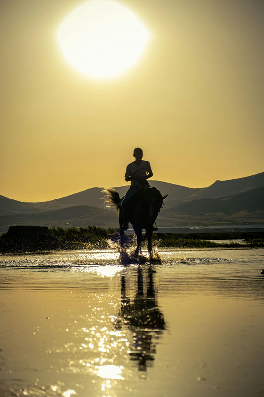 Florida, USA: 1-Hour Golden Beach Sunset Horse Ride in Amelia Island