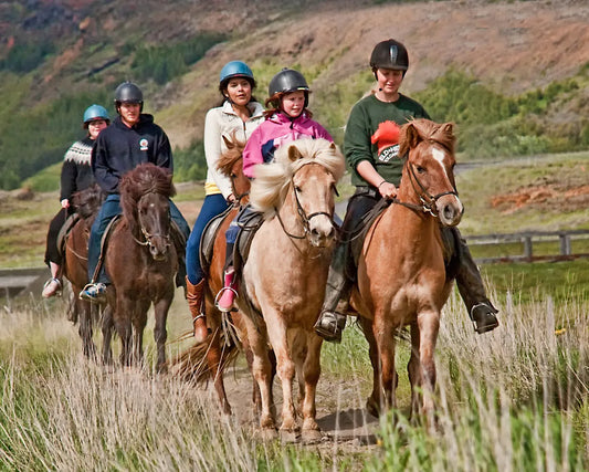 Reykjavík: The Glacier Horseback Ride + Pick-Up & Drop-Off