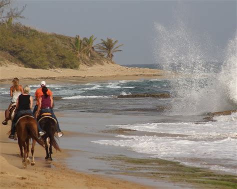 Isabela: Private Tropical Horseback Ride + Pick-up Available & Optional Lunch
