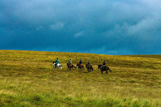 West Berkshire: Countryside Horseback Ride Adventure + Pick-Up Available