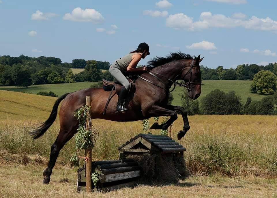 West Berkshire: Bold Horizons Horseback Ride + Pick-up Available