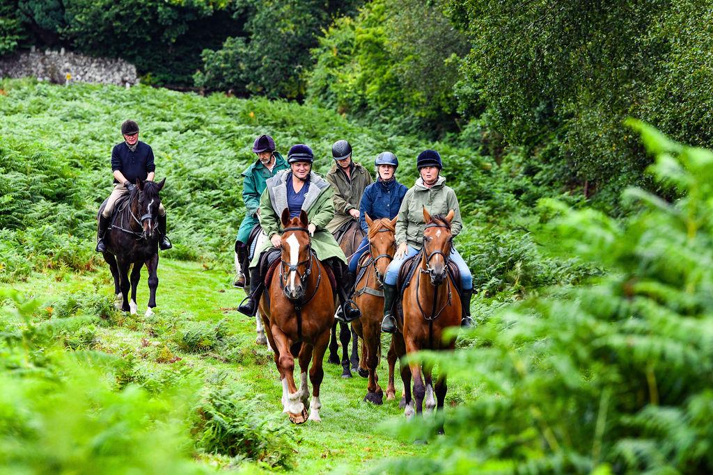 West Berkshire: Chase Hunter Horseback Ride Adventure + Pick-up Available