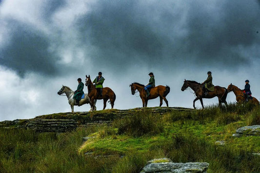 West Berkshire: Private Countryside Horseback Ride Adventure + Pick-Up Available