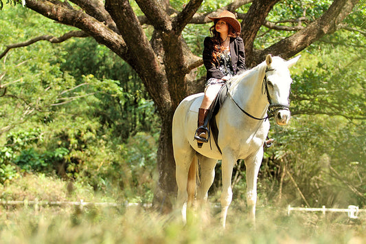 A Horseback Journey at El Kabayo