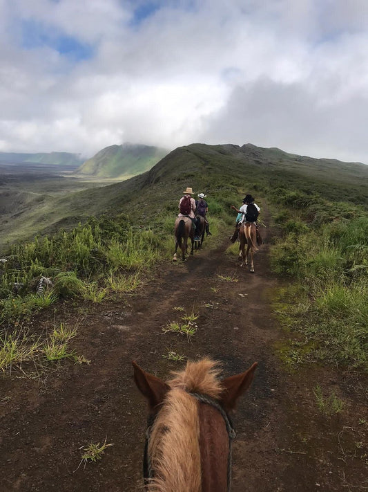 Latacunga: High Trail Riding Adventure + Pick-Up & Drop-Off + Lunch