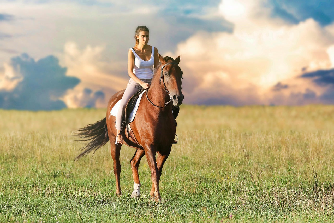 Filandia, Colombia: Full-Day Journey to the River on Horseback